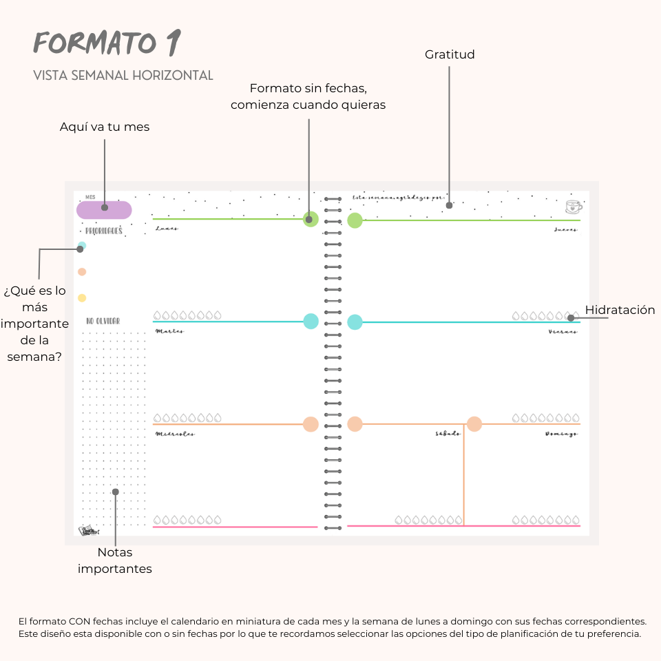 Planificador de estudios / Study Planner