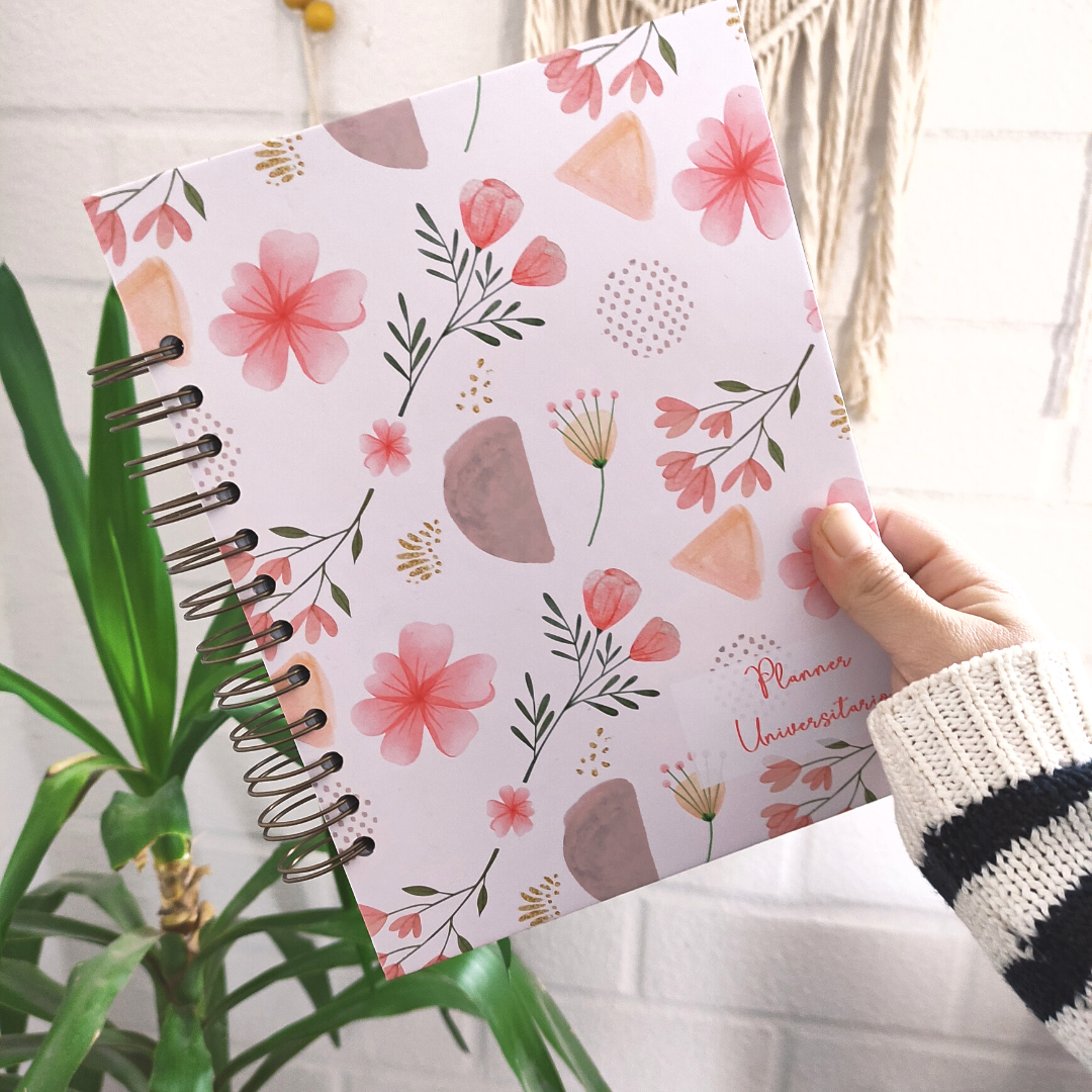 Planificador de estudios / Study Planner