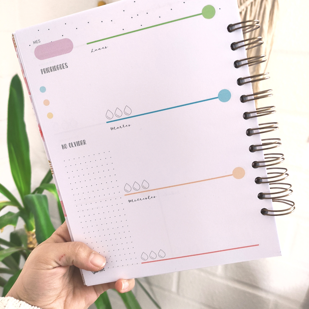 Planificador de estudios / Study Planner
